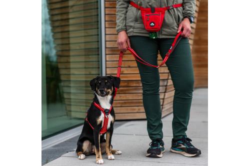 Bolsa para premios golosinas para entrenamiento perros DOG Copenhagen. Cierre magnético y dispensador de bolsitas . Con perro 3 Bolsa para premios golosinas para entrenamiento perros DOG Copenhagen. Cierre magnético y dispensador de bolsitas . Con perro 3