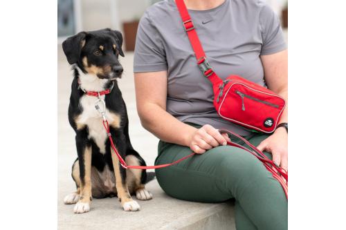 Bolsa riñonera para perros DOG Copenhagen. Permite llevar en cintura y cruzada. Con perro 4