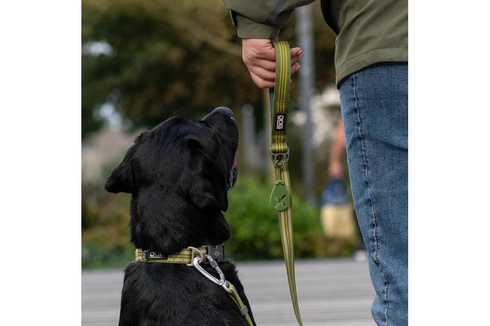 Soporte llavera para bolsitas de cacas y excrementos perros Dog Copenhagen Flexy. Con perro 3