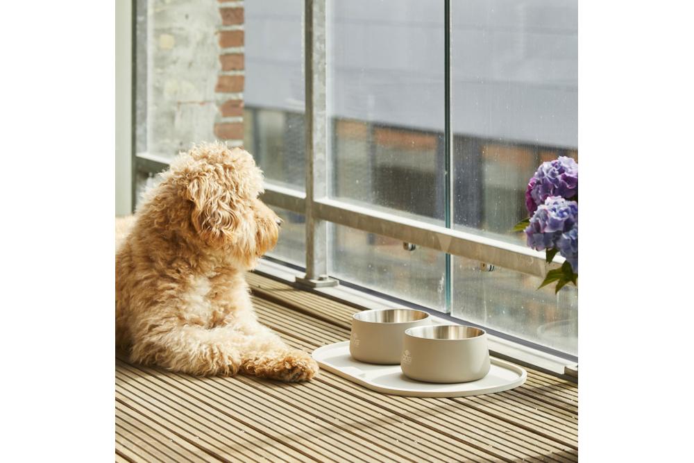 Bol cuenco para perros Vega de DOG Copenhagen. Comedero bebedero antideslizante y con estilo minimalista. ejemplo 5 Bol cuenco para perros Vega de DOG Copenhagen. Comedero bebedero antideslizante y con estilo minimalista. ejemplo 5