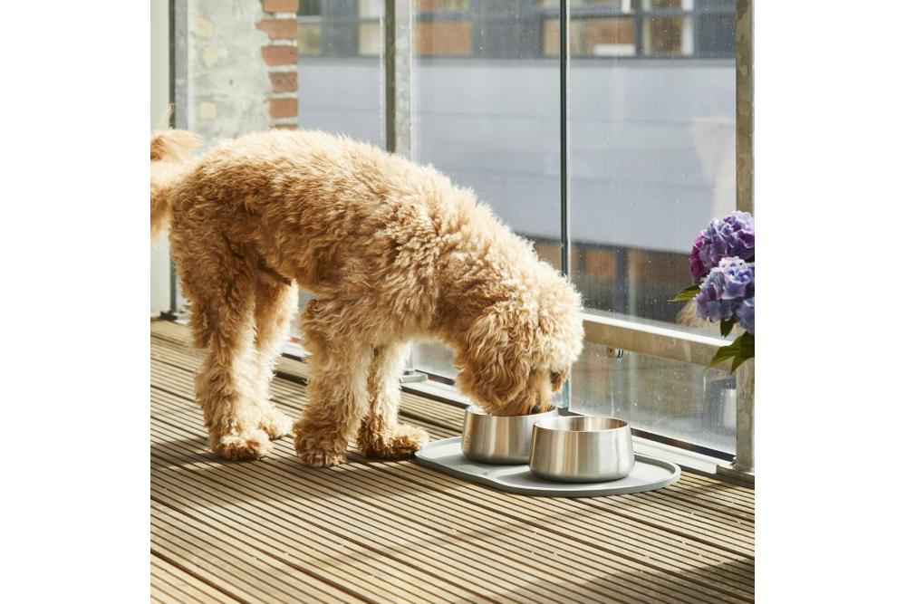 Bol cuenco para perros Vega de DOG Copenhagen. Comedero bebedero antideslizante y con estilo minimalista. ejemplo 6 Bol cuenco para perros Vega de DOG Copenhagen. Comedero bebedero antideslizante y con estilo minimalista. ejemplo 6