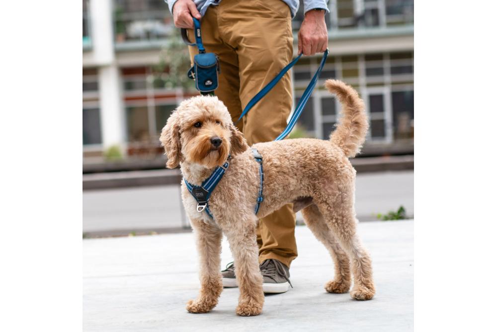 Arnés para perros DOG Copenhagen Comfort Walk Air cp1 Arnés para perros DOG Copenhagen Comfort Walk Air cp1
