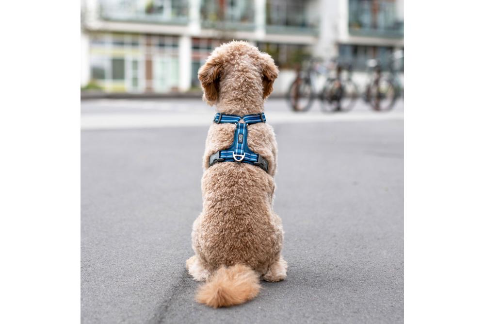 Arnés para perros DOG Copenhagen Comfort Walk Air cp2 Arnés para perros DOG Copenhagen Comfort Walk Air cp2