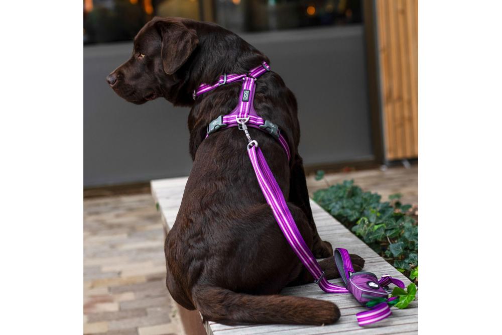 Arnés para perros DOG Copenhagen Comfort Walk Air cp4 Arnés para perros DOG Copenhagen Comfort Walk Air cp4