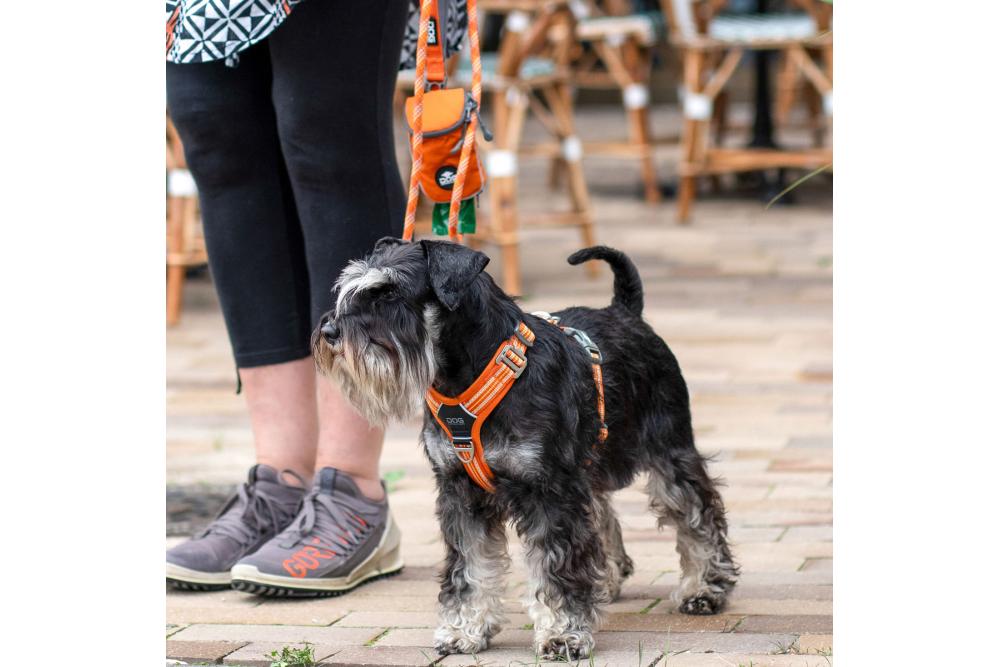 Arnés para perros DOG Copenhagen Comfort Walk Air cp7 Arnés para perros DOG Copenhagen Comfort Walk Air cp7