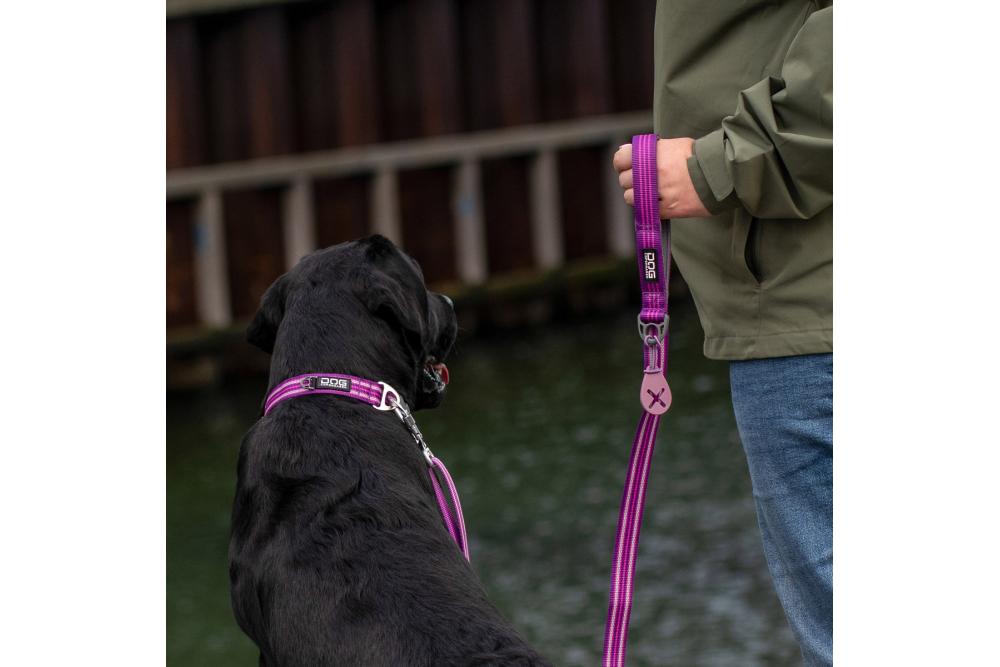 Correa perro DOG Copenhagen Urban Freestyle. Con perro 2