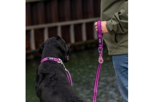 Collar perros DOG Copenhagen Urban Style. Con perro 2