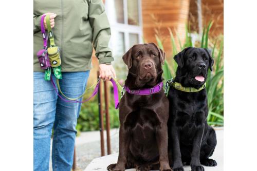Collar acolchado perro DOG Copenhagen Urban Explorer V3. Con perro 4