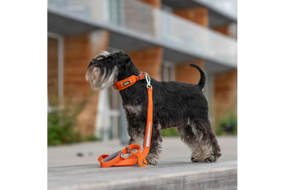 Correa para perros DOG Copenhagen Urban Trail™. Ejemplo con perro 2 Correa para perros DOG Copenhagen Urban Trail™. Ejemplo con perro 2