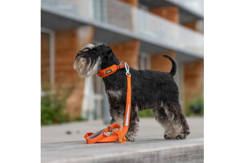 Correa para perros DOG Copenhagen Urban Trail™. Ejemplo con perro 2 Correa para perros DOG Copenhagen Urban Trail™. Ejemplo con perro 2