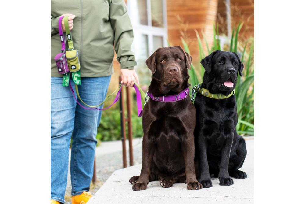 Correa para perros DOG Copenhagen Urban Trail™. Ejemplo con perro 4 Correa para perros DOG Copenhagen Urban Trail™. Ejemplo con perro 4