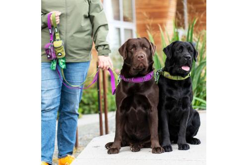 Correa para perros DOG Copenhagen Urban Trail™. Ejemplo con perro 4 Correa para perros DOG Copenhagen Urban Trail™. Ejemplo con perro 4