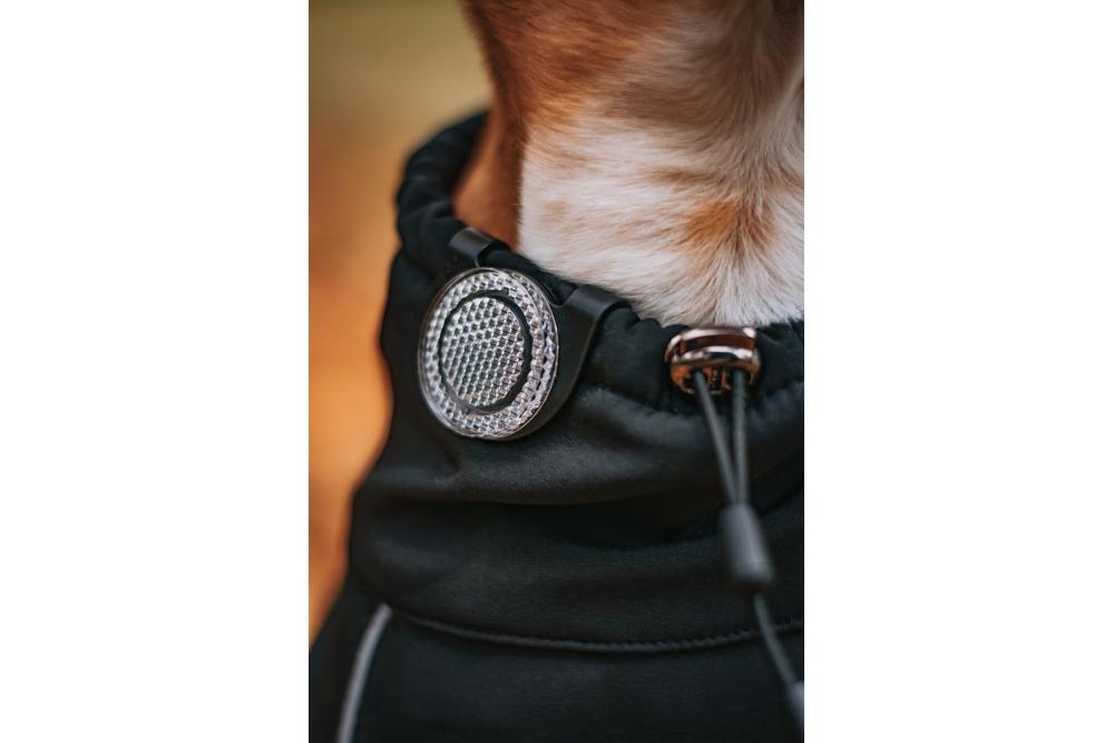 Orbiloc Reflective Clip - Luz LED seguridad y alta visibilidad para perros - ejemplo con perro 01