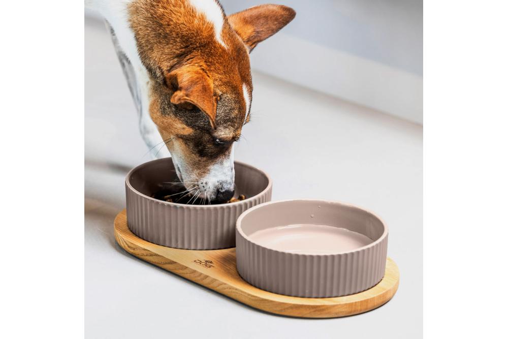 Comedero doble para perros Kronborg de DOG Copenhagen. Cerámica porcelana. Con perro 2