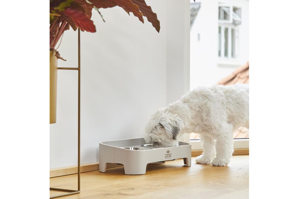 Comedero doble para perros Skagen de DOG Copenhagen. Con perro 1