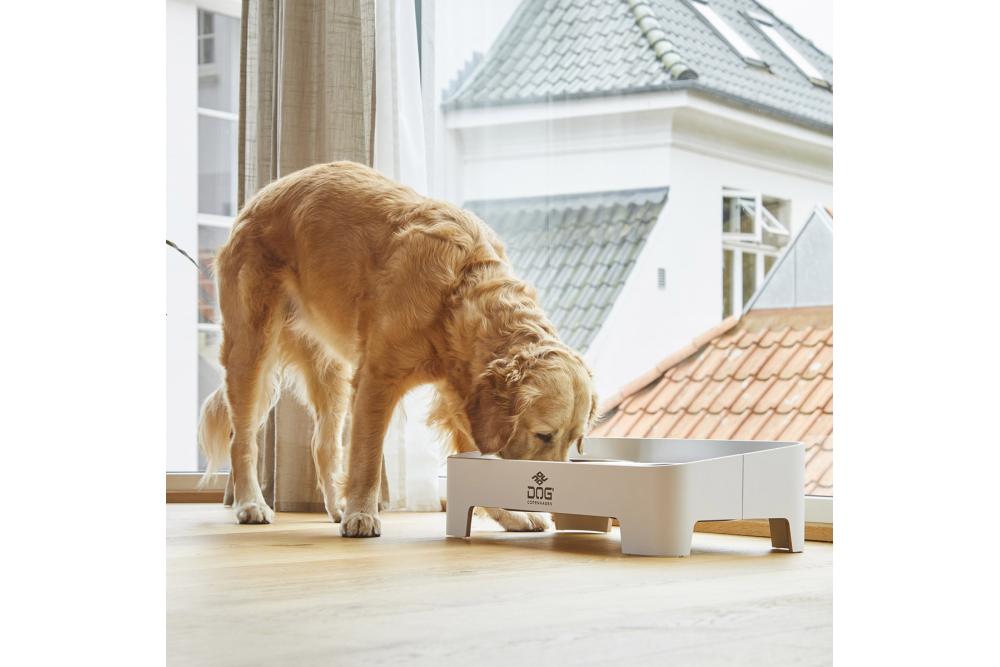 Comedero doble para perros Skagen de DOG Copenhagen. Con perro 4