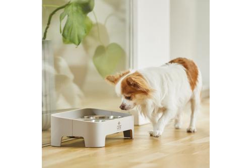 Comedero doble para perros Skagen de DOG Copenhagen. Con perro 5