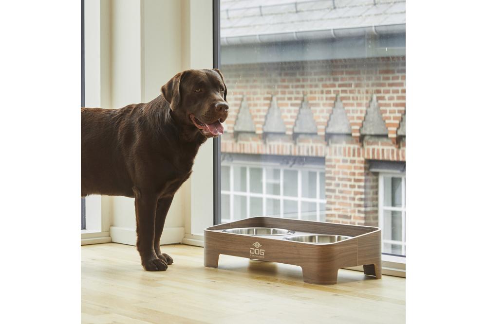 Comedero doble para perros Skagen de DOG Copenhagen. Con perro 6