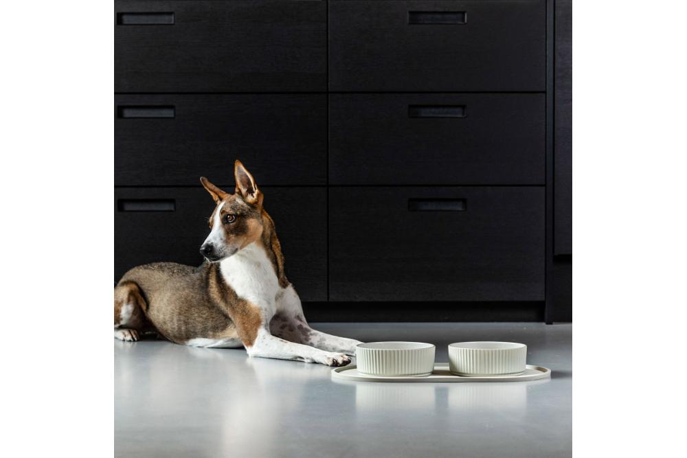 Bol cuenco para perros Kronborg de DOG Copenhagen. Cerámica porcelana. Con perro 1